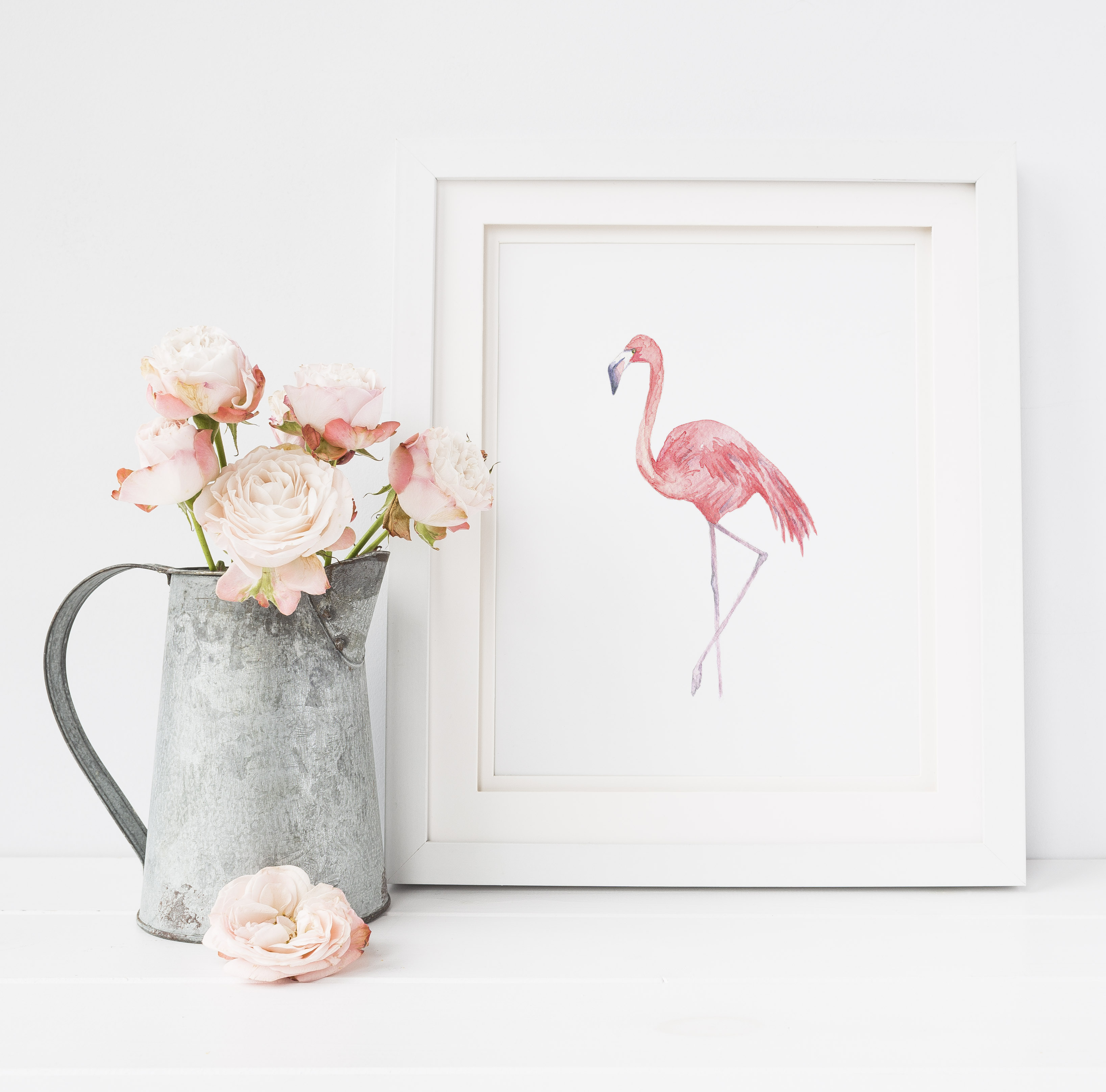 Flamingo