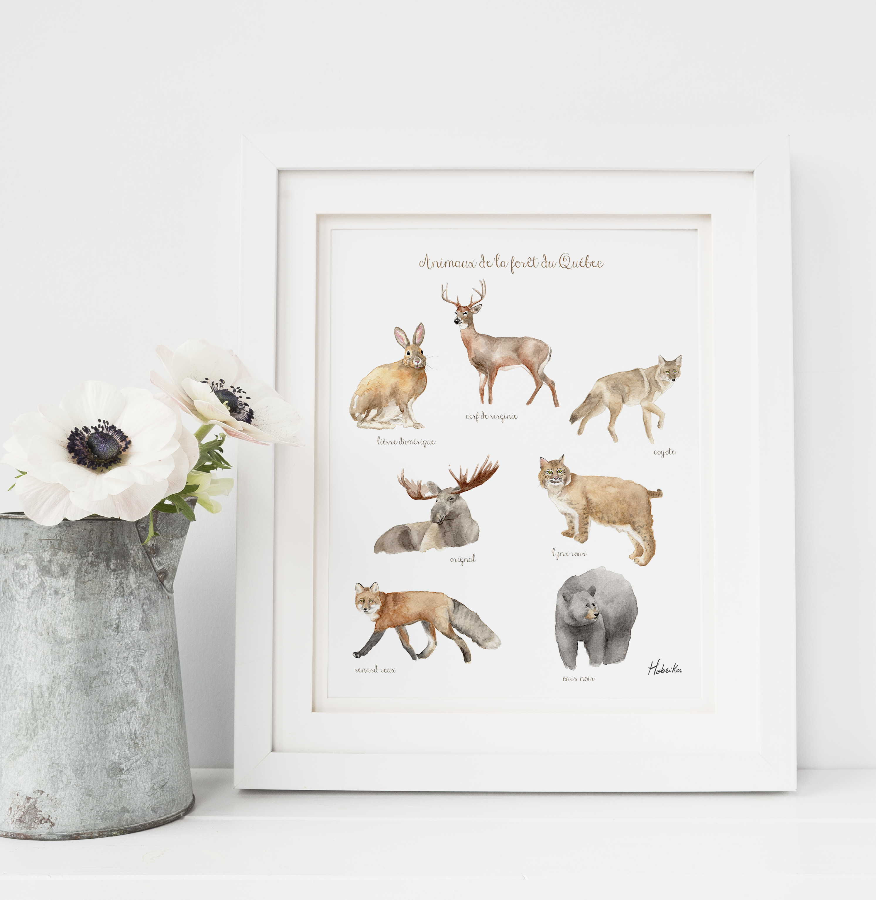 Forest animals
