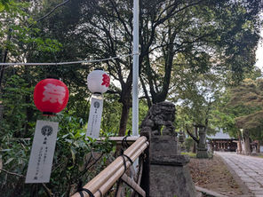 日本の放射線治療はなぜ普及しない〜資源危機で変わる!?がん治療の未来〜