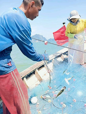 LINE_ALBUM_Bangsead - Fishing with fisherman_260514_4.jpg