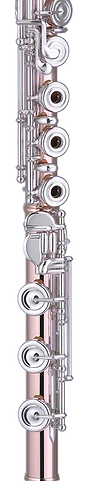 miyazawa.png