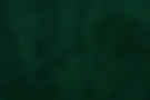 service bg.png