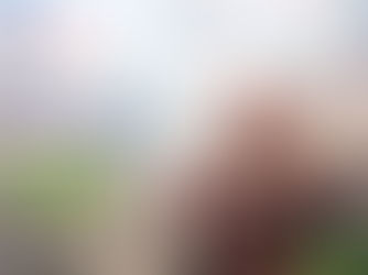 Medela Potentia's Healthcare Transformation on National Health Day Commemoration