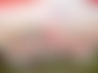 Argon Peduli Promoting Health of Residents in “the City of Flowers"