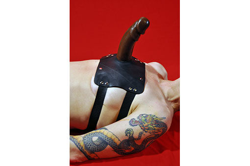 Thumbnail: Thigh/Chest Harness