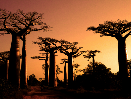 5 Magnificent Locations in Madagascar
