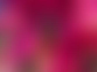 Reasons to Visit Barbados Today