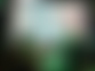 Festival de Hip Hop, 10 años de
cultura urbana