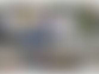 La Mesa de Biodiversidad de la Comuna 9 "Amor, creatividad y sostenibilidad"