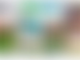 ¡Tu participación hace la diferencia!