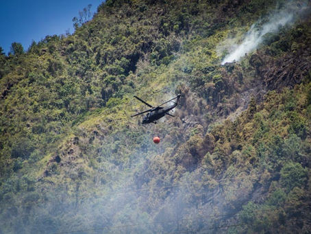 Incendios forestales