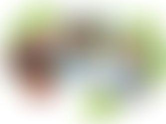 Club de vida Las Violetas