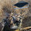 Thumbnail: Bomber Blades Wind Driven Spinning Wing Decoy
