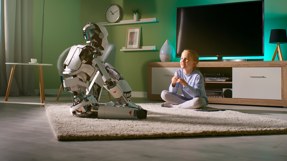 Robots in everyday life