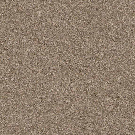 Style: Pyrenees, Color: Shar - Pei by Dixie Home