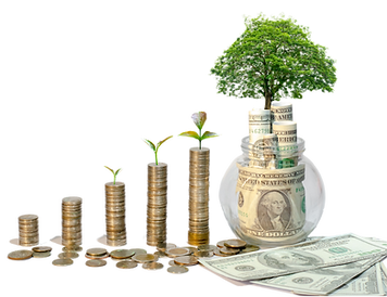 growing stacks of coins to dollar tree