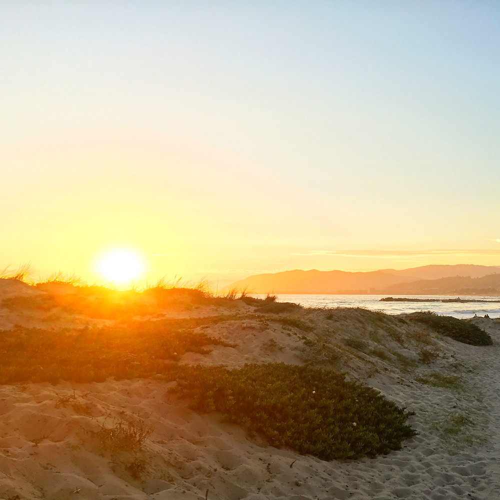 Yoga off the Mat: Ahimsa
