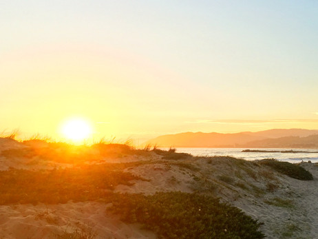 Yoga Off the Mat: Ahimsa