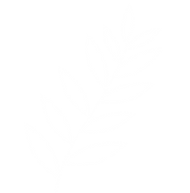 e (2).png