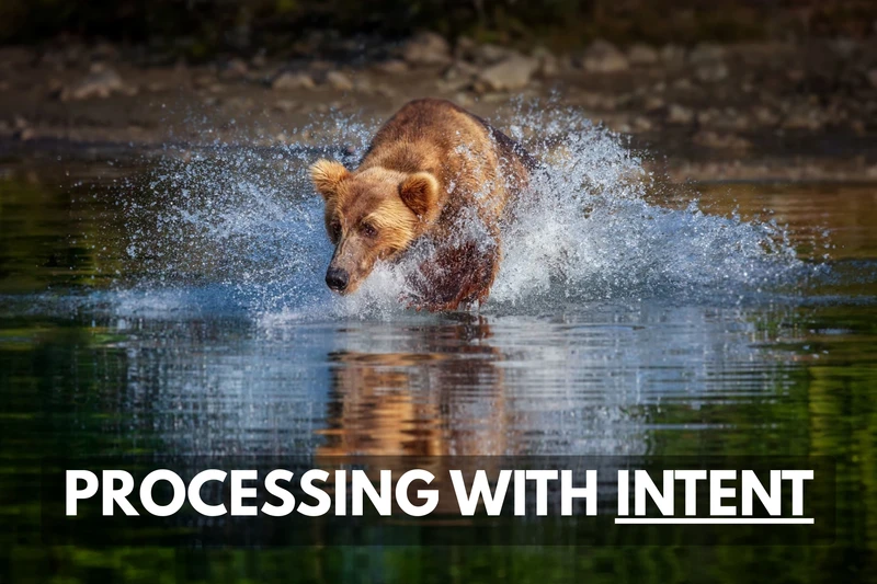 a brown bear is running through a body of water
