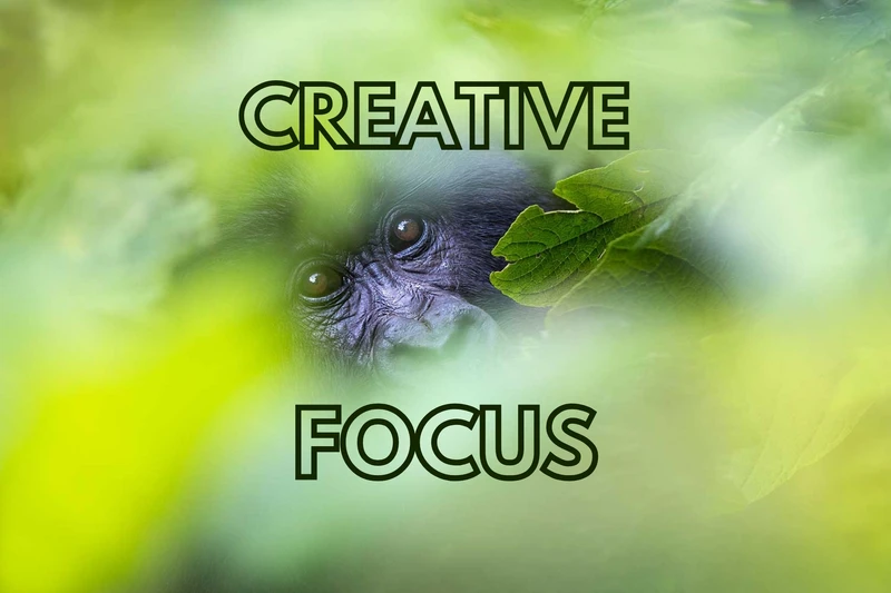 a close up of a gorilla 's face with a green leaf in the foreground