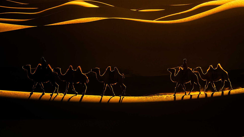 Mongolia Photo Adventure