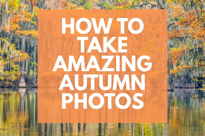 a lake surrounded by trees with spanish moss hanging from them