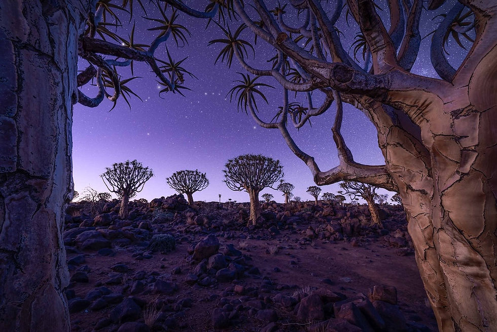 John Meragias on Nature Photography and Solo Travel