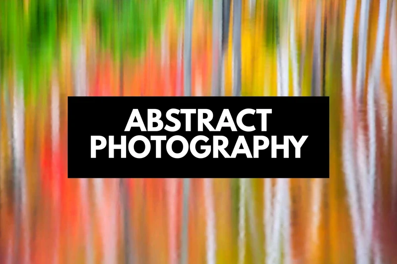 a colorful abstract painting of trees in a forest