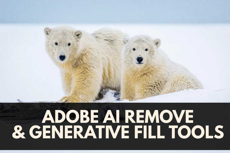 two polar bear cubs standing next to each other in the snow