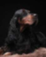 Dee Dee's likely cover shot for the National GSCA Magazine Spring edition