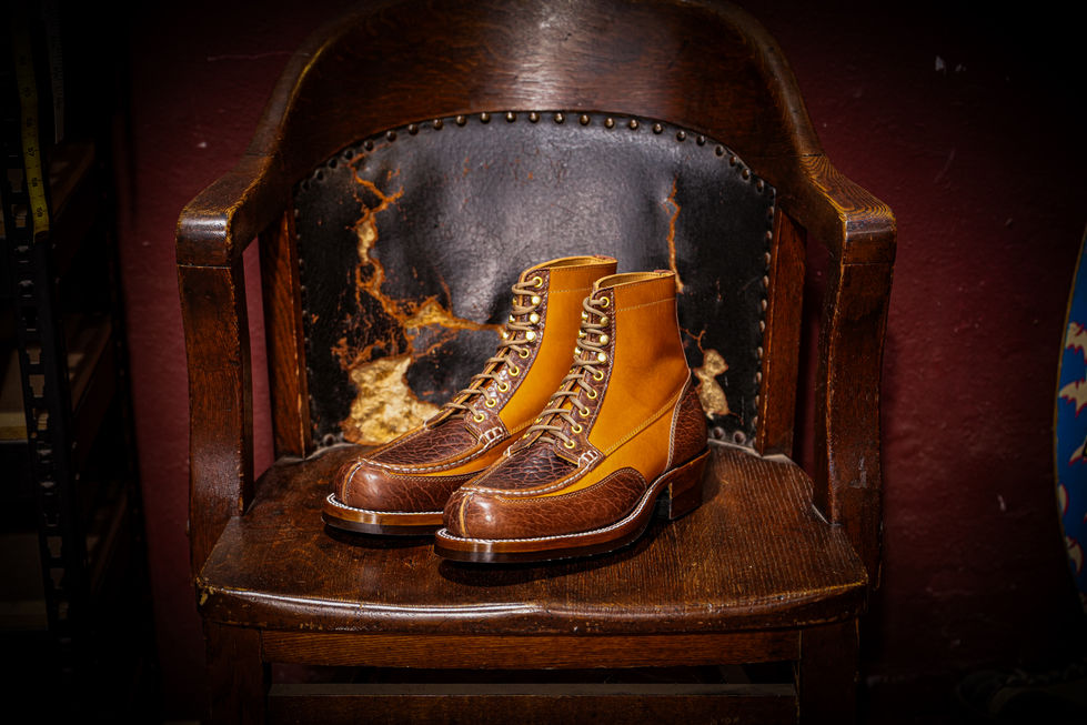 바이슨 목토-2