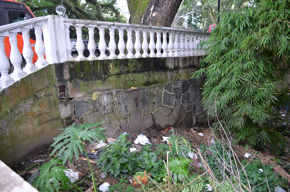 Parque Centenario. Tomada por Stefanny Villanueva