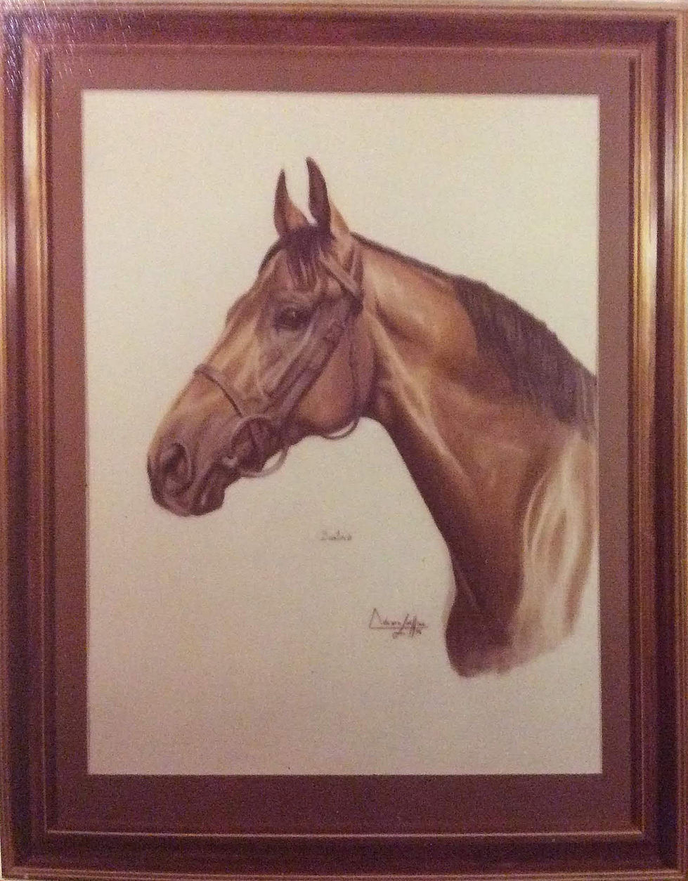 Bustino Colección Major Dick Hern UK Lápiz color.JPG