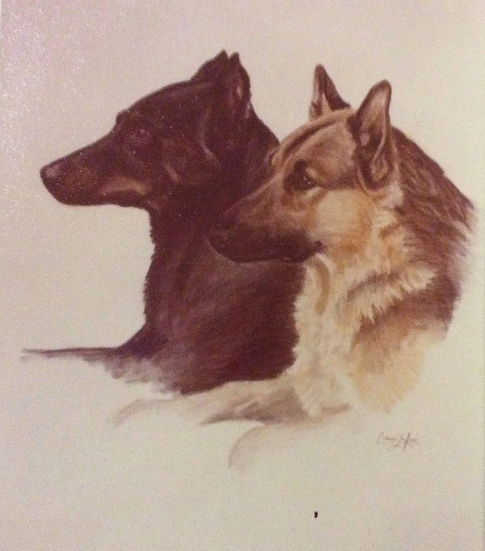 Pistol and Packer Colección Alec Head Francia Lapiz.JPG