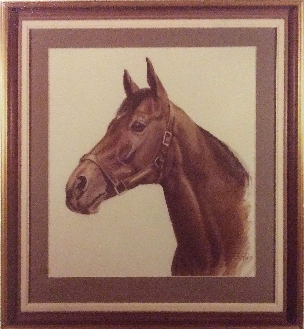 Brigadier Gerard Mr&Mrs Hislop GB Lápiz color.JPG