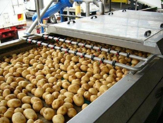 potato-processing-chips-grade