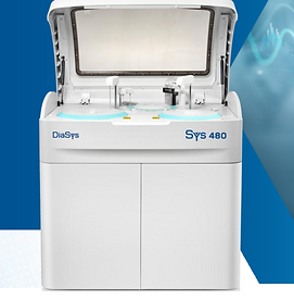 Screenshot 2025-06-29 162900.png