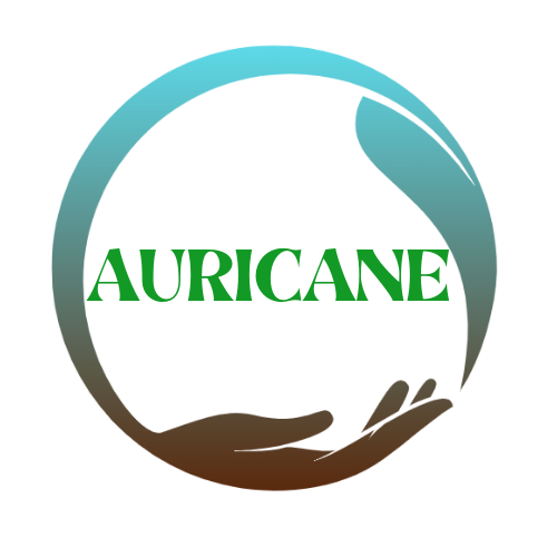 Auricane Logo (19).png