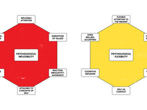 Acceptance & Commitment Therapy: A Brief Introduction