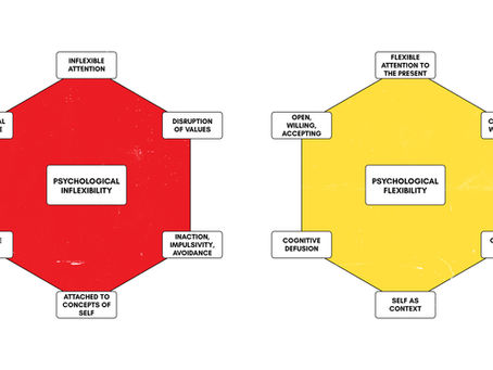 Acceptance & Commitment Therapy: A Brief Introduction