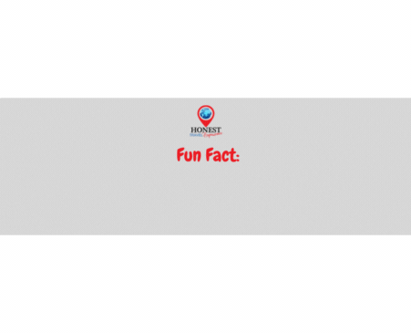 fun fact gif