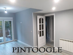 PINTOOGLE 7