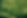 close-up-of-pine-tree-2021-10-14-18-40-39-utc.jpg