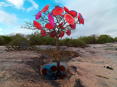 A_55070.jpg