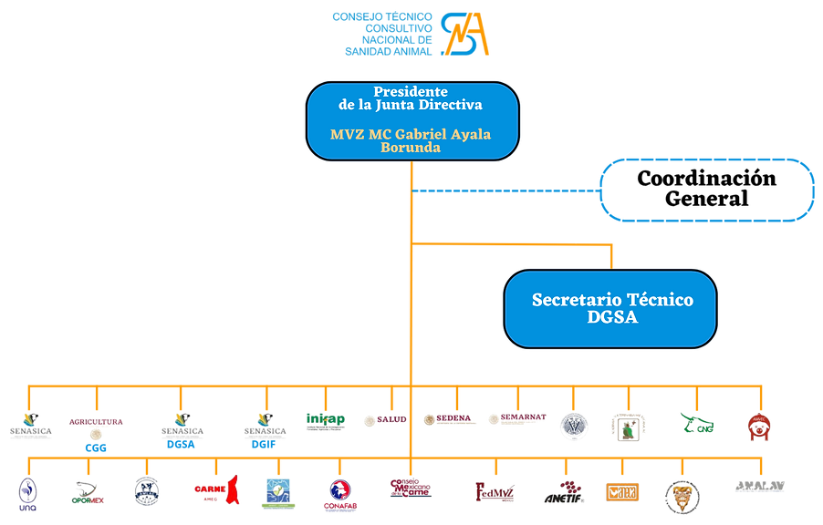 Organigrama.png
