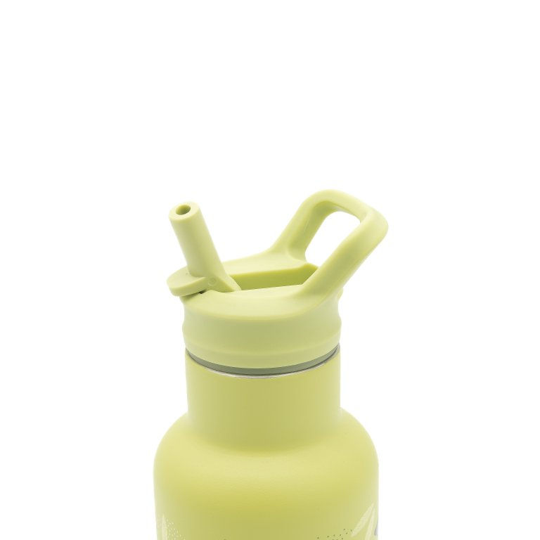 Miniature : Gourde isotherme en inox 350 ml - Cracky le dinosaure