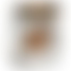 Orzo con higos y parmesano