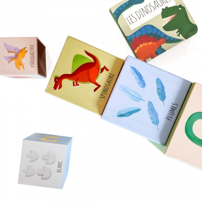 Miniature : Livre et cubes : Dinosaures