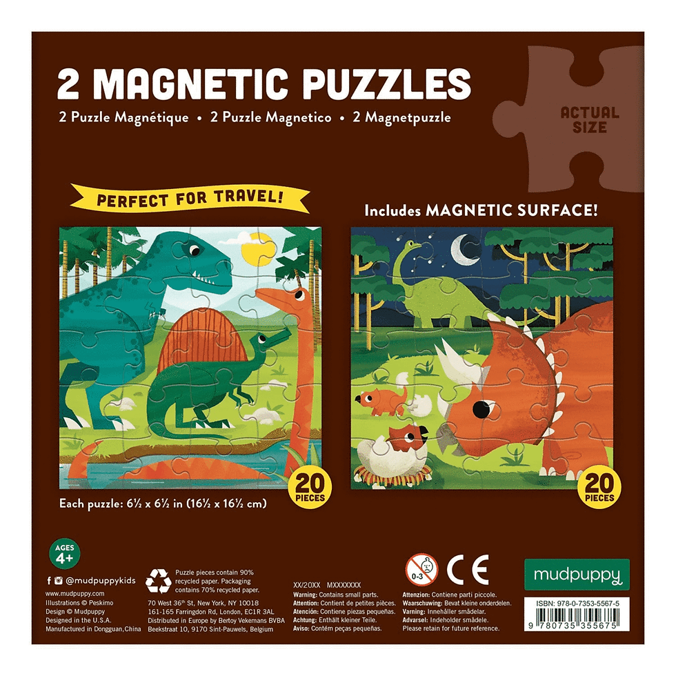 Miniature : Puzzles magnétiques 20 pièces - dinosaures